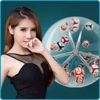 24Dspin